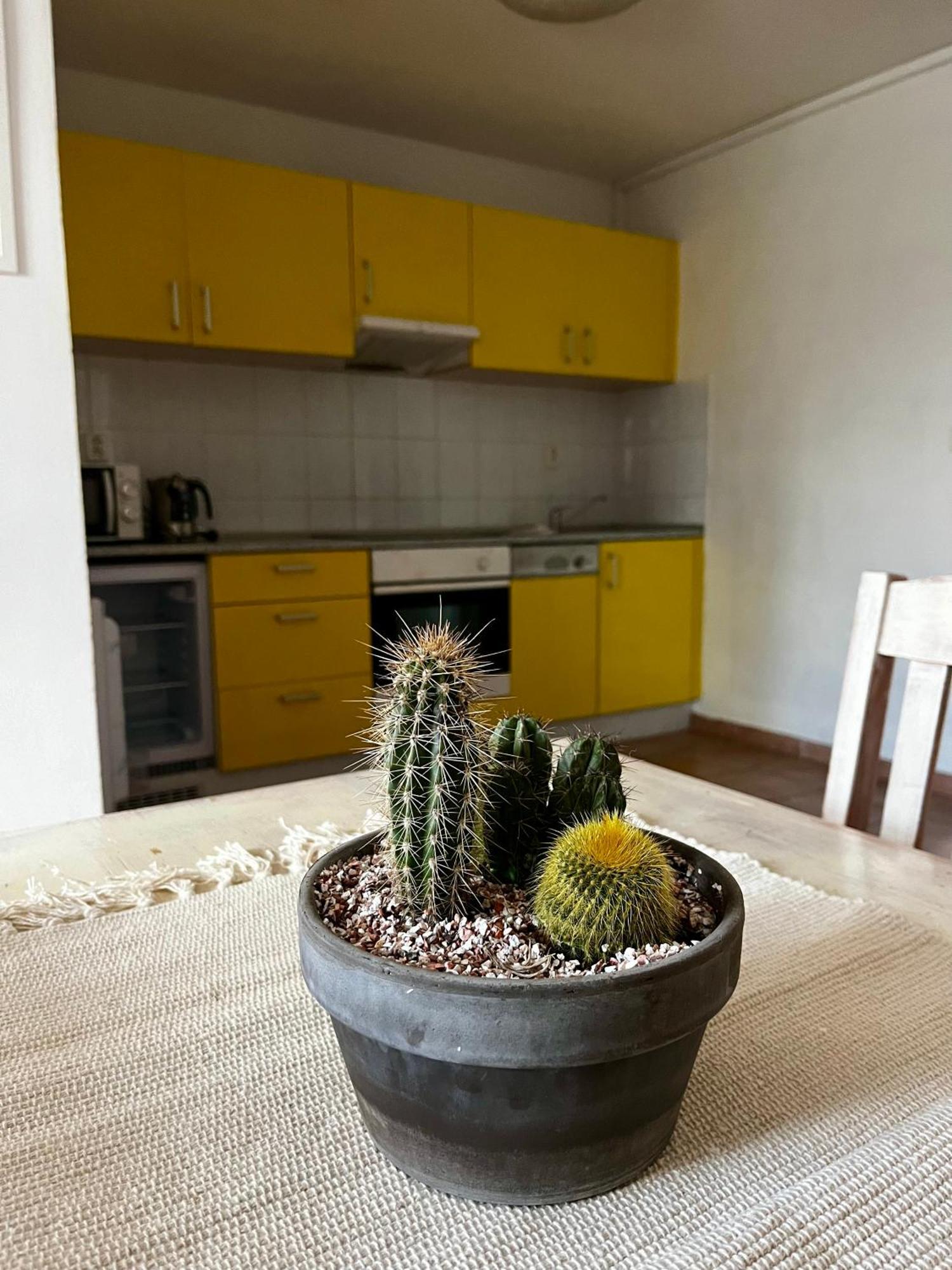 Mohelensky Dvur Appartement Mohelno Buitenkant foto